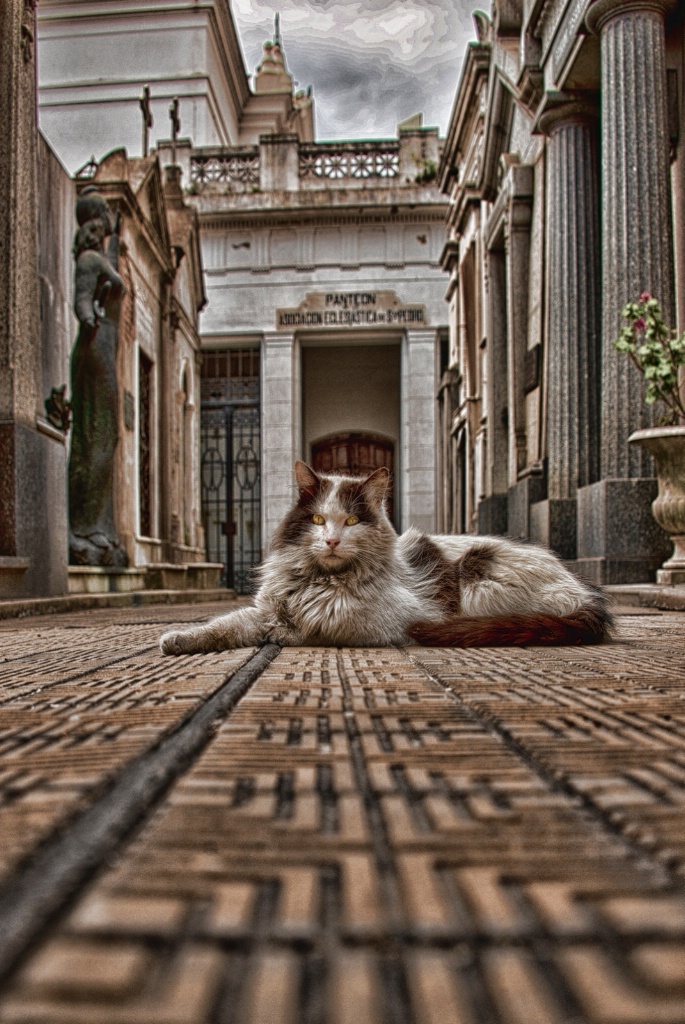 Keeper of The Crypts