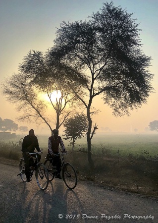 Sunrise Cycling to Work