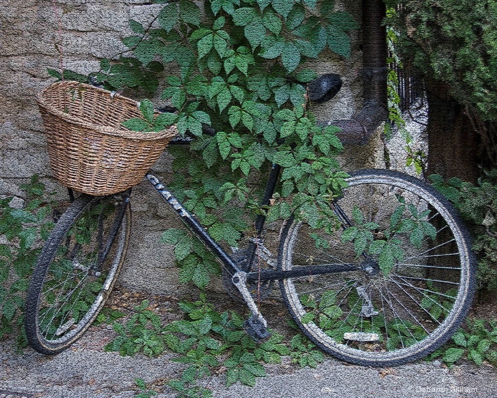 Provence Cycle