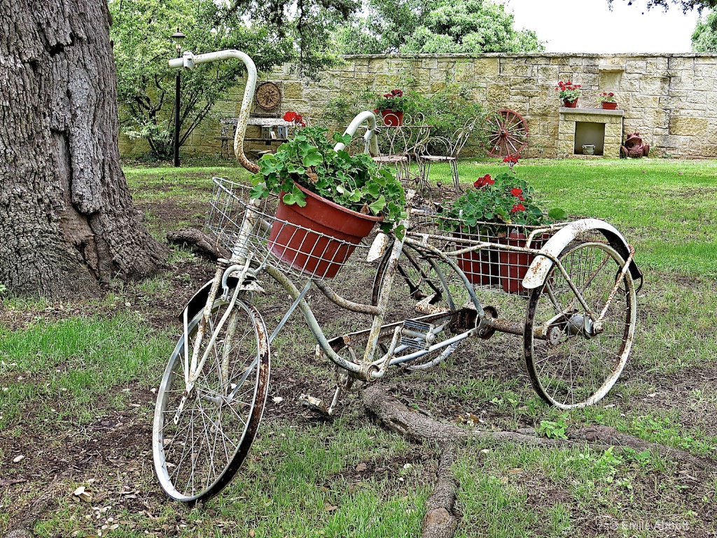 Flower bike - ID: 15619680 © Emile Abbott