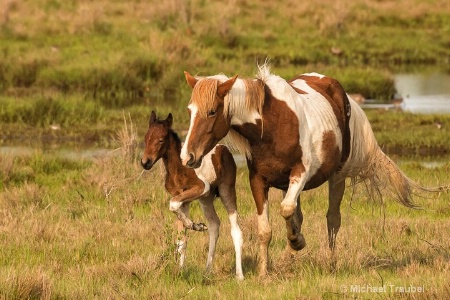 In Step with Mom