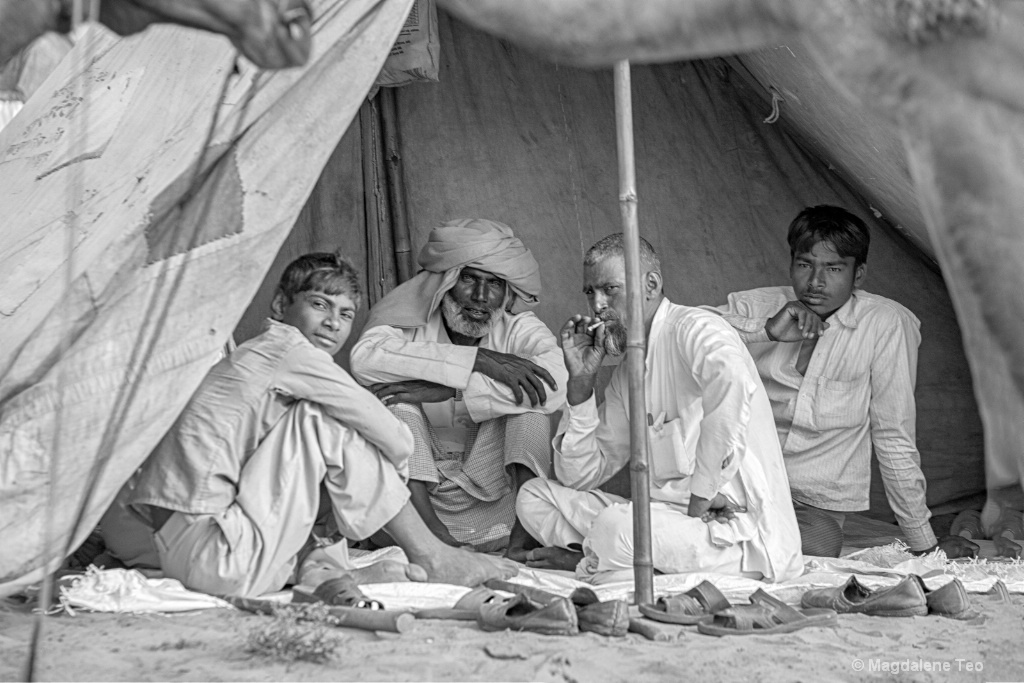 Flashback to Rajasthan India - Bedouin - ID: 15620329 © Magdalene Teo
