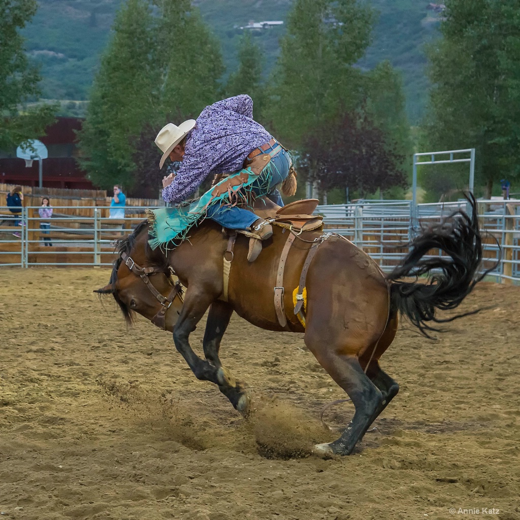 Wild Horse - ID: 15620861 © Annie Katz