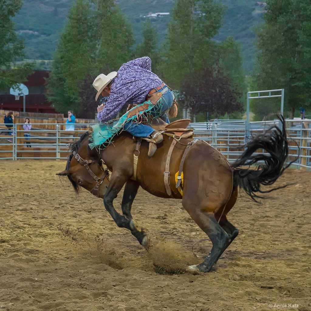 Wild Horse - ID: 15620861 © Annie Katz