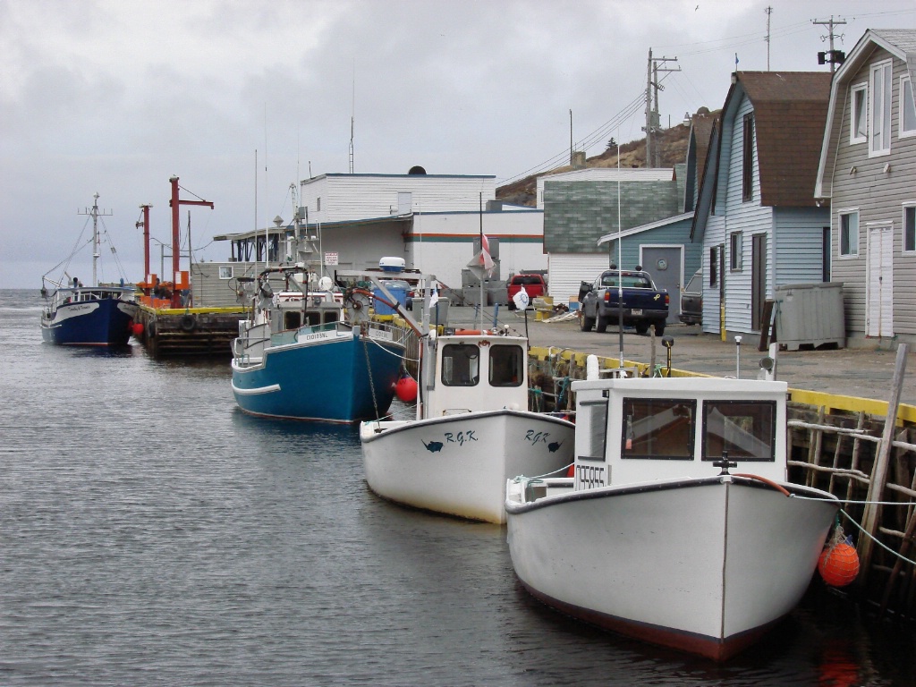 Fishing fleet in port