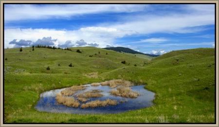 Pond in the Grasslands 