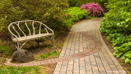 Path to a Secret Garden