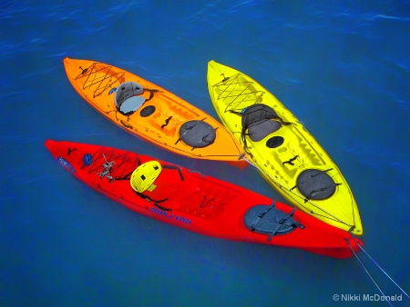 Kayak Trio