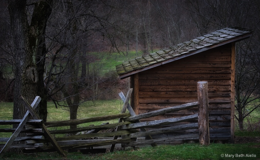 The Shed