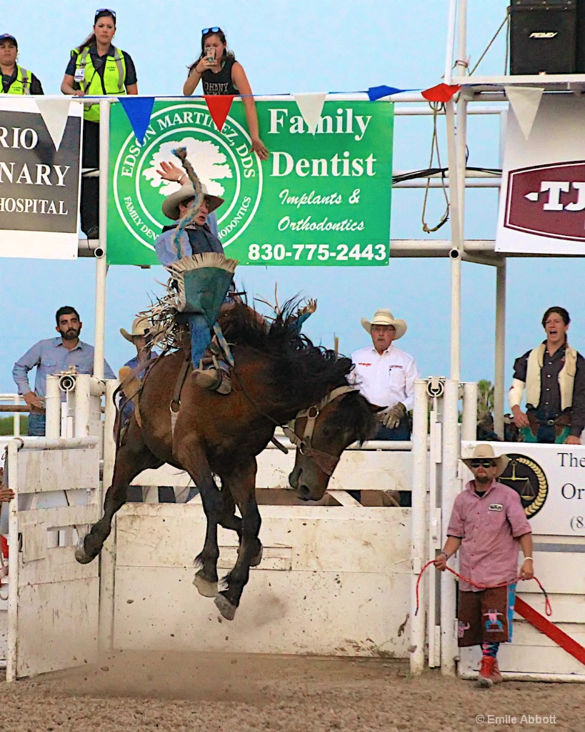 Riding High - ID: 15622913 © Emile Abbott