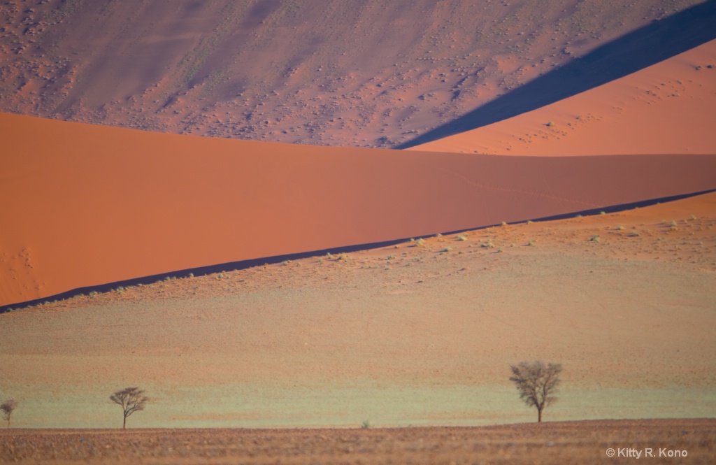 Sand Dune Lines - ID: 15623329 © Kitty R. Kono