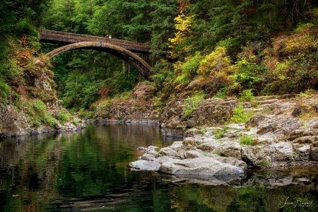 Moulton Falls Foot Bridge