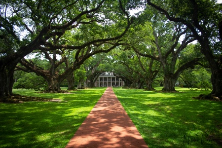 Oak Alley Plantation