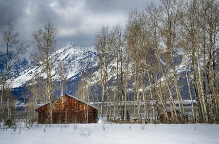 Snake River Shore Cabin