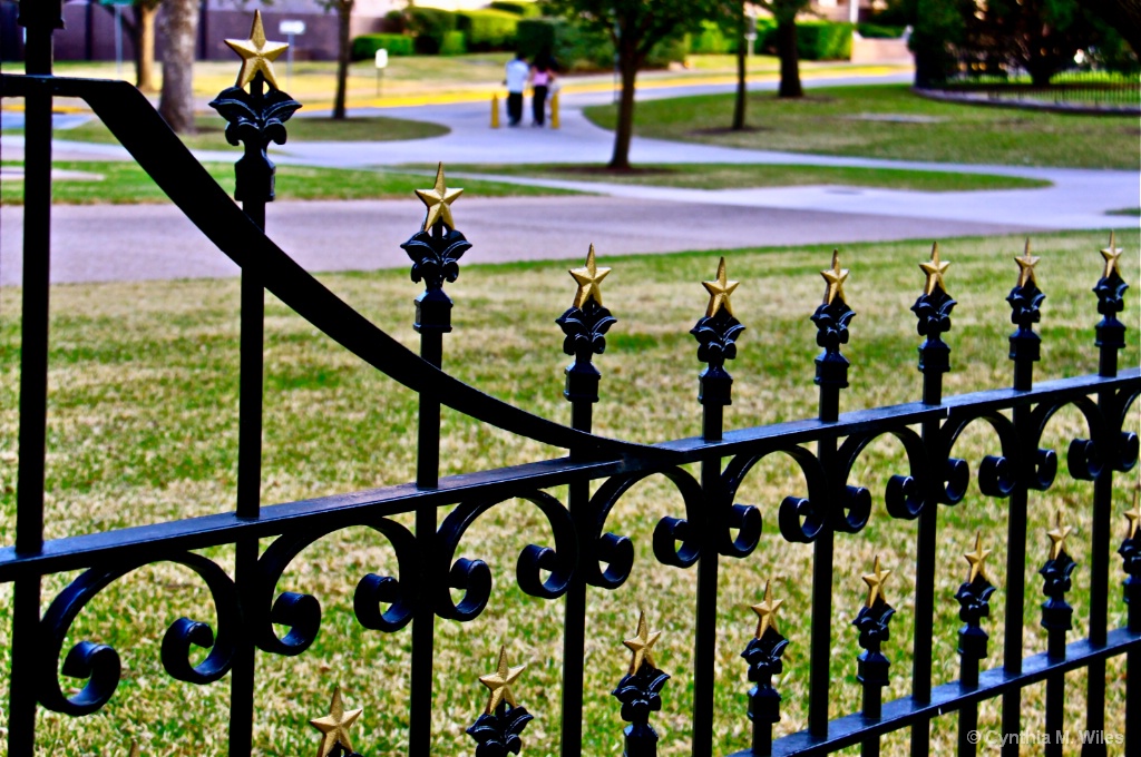 Teas State Capitol Gate - ID: 15623494 © Cynthia M. Wiles