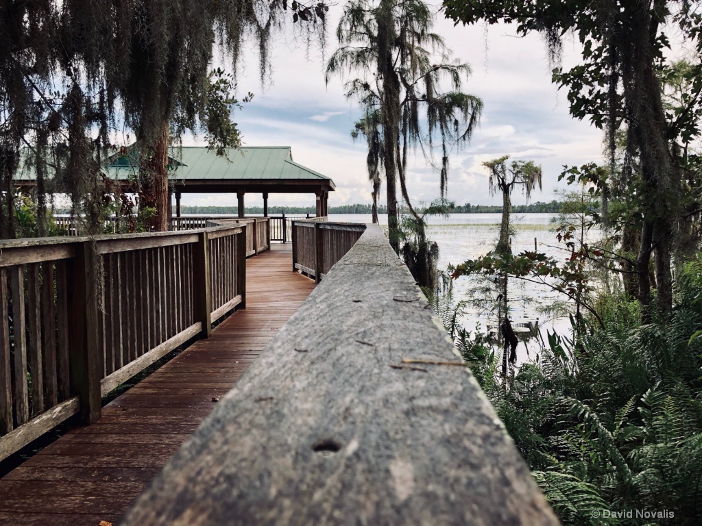 Green Dock on Lake Nona