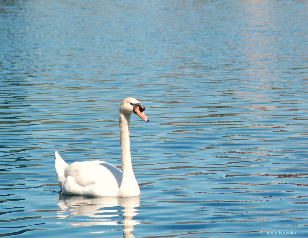 Enjoying the Open Waters