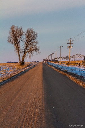 The Photo Contest 2nd Place Winner - Country Road