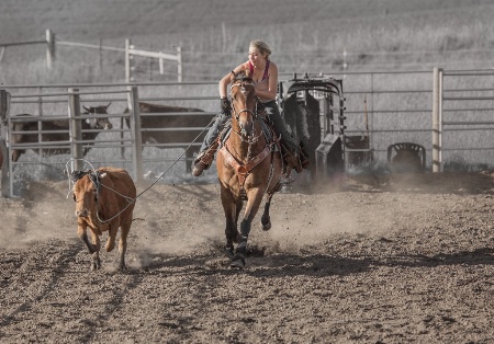 Ride 'em Cowgirl