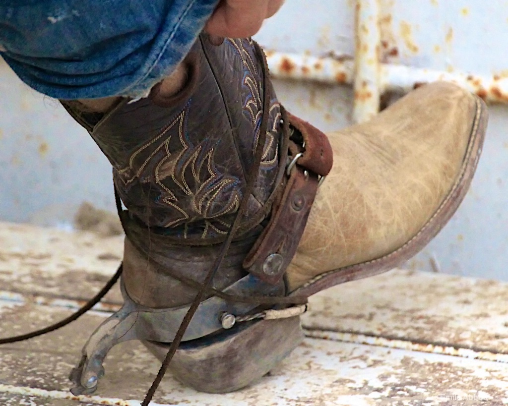Western boots - ID: 15624415 © Emile Abbott