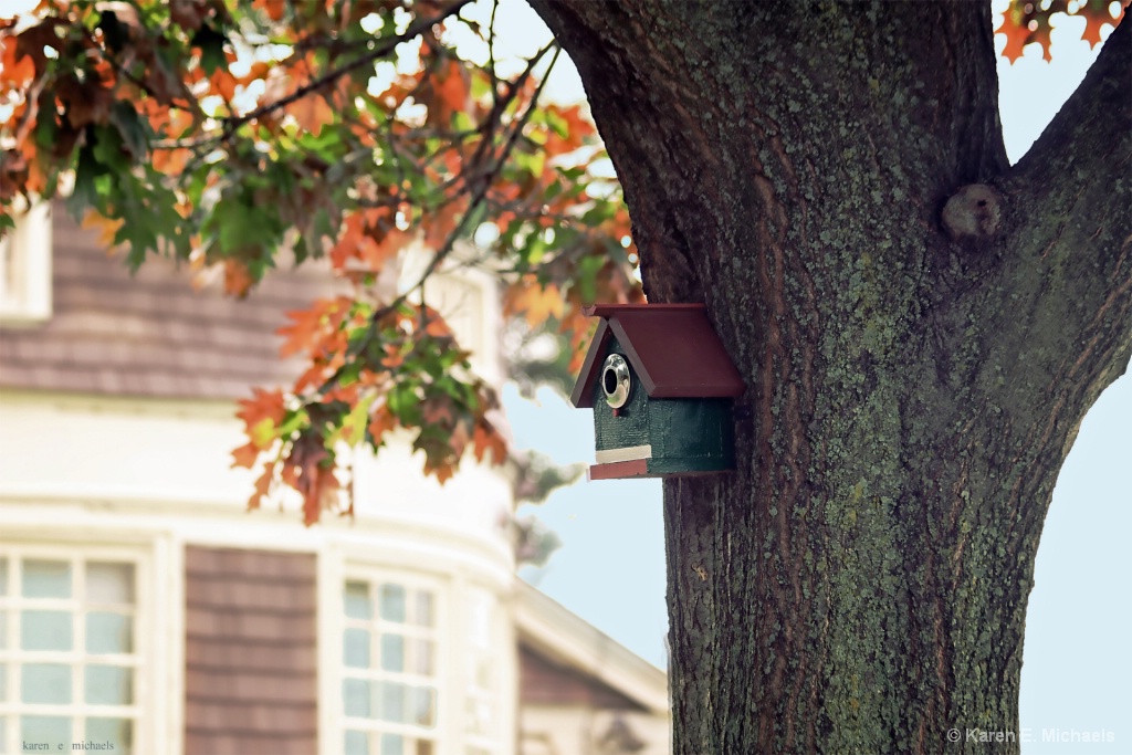 flirting with fall - ID: 15625059 © Karen E. Michaels