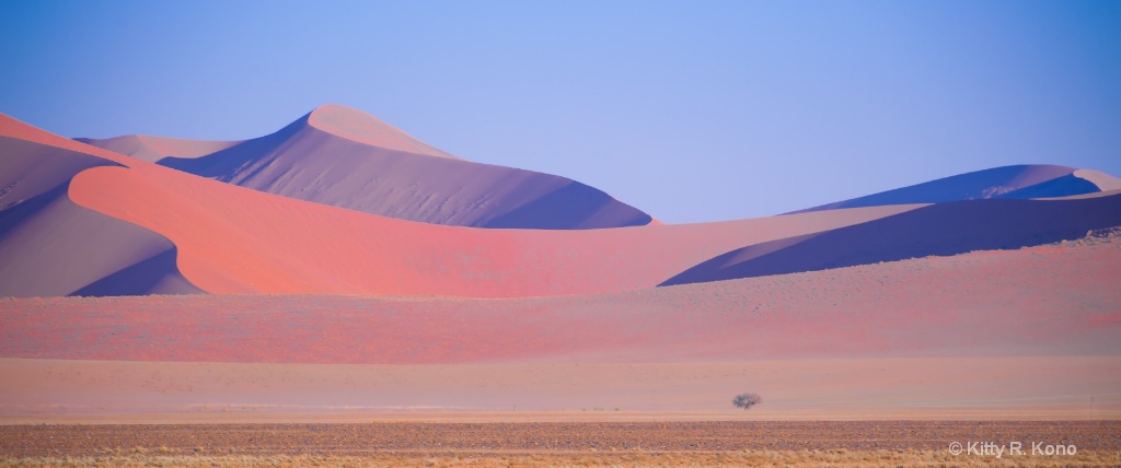 Sand Dunes of Sossuvlei - ID: 15625142 © Kitty R. Kono
