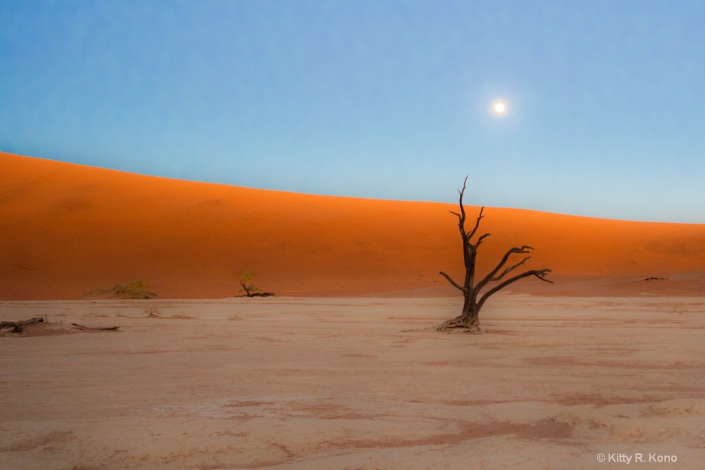Dead Vlei with Moon Wide Angle