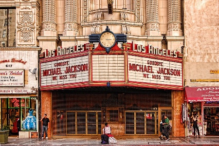 Goodbye Micheal Jackson