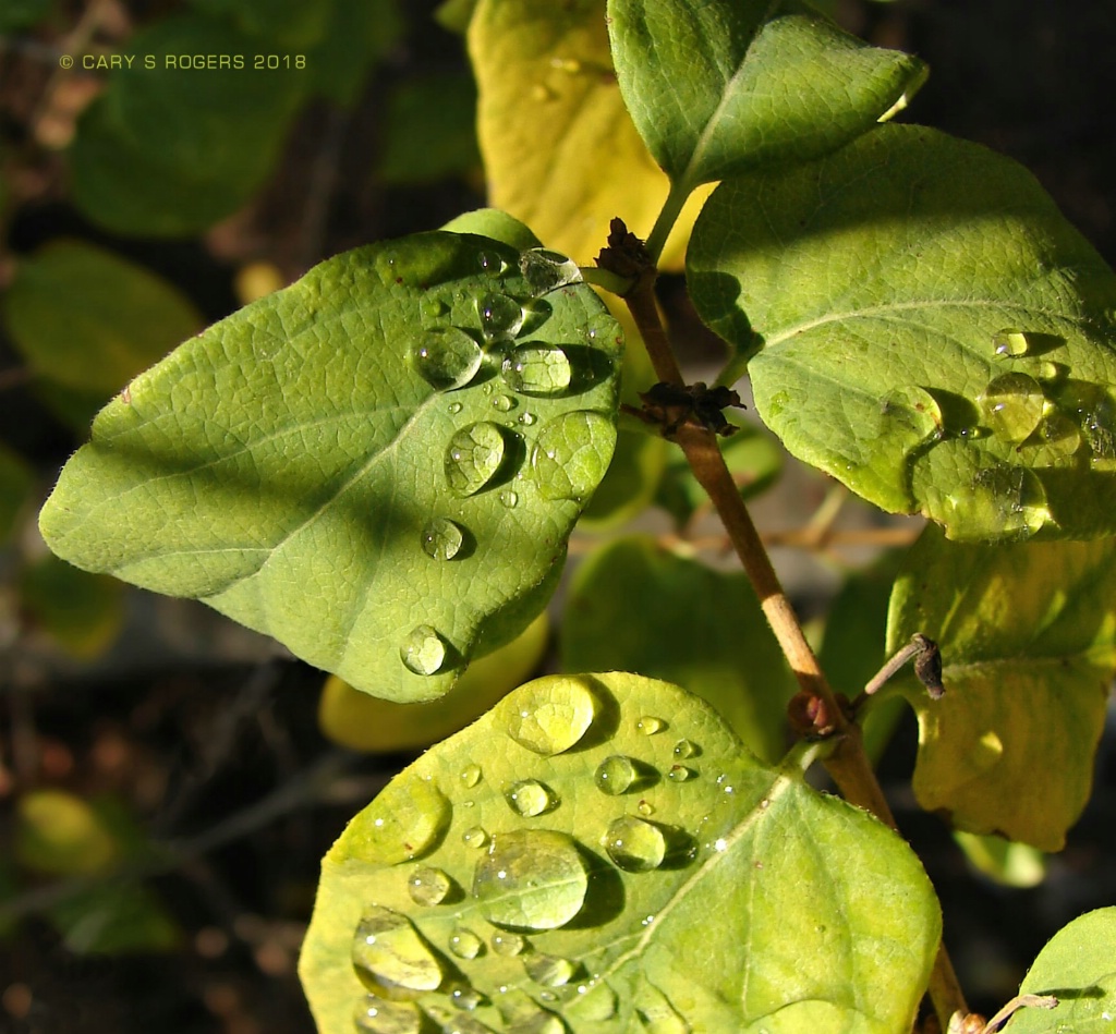 After an October Rain