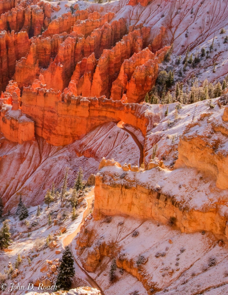 Canyon Trail