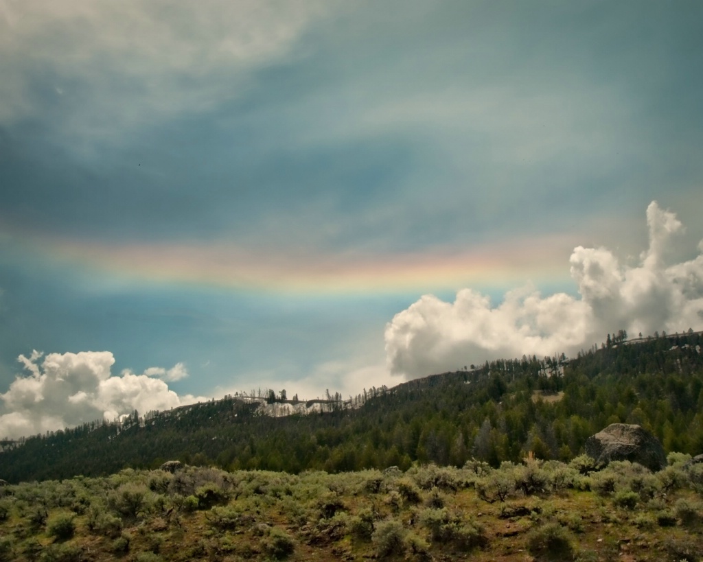 Looking for the pot of gold - ID: 15626417 © Susan Johnson