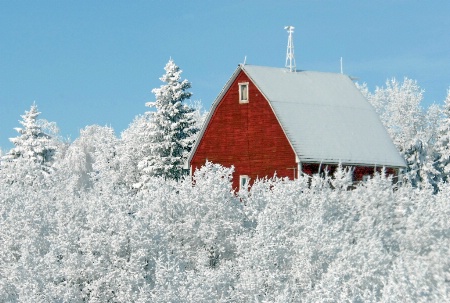 The Red Barn