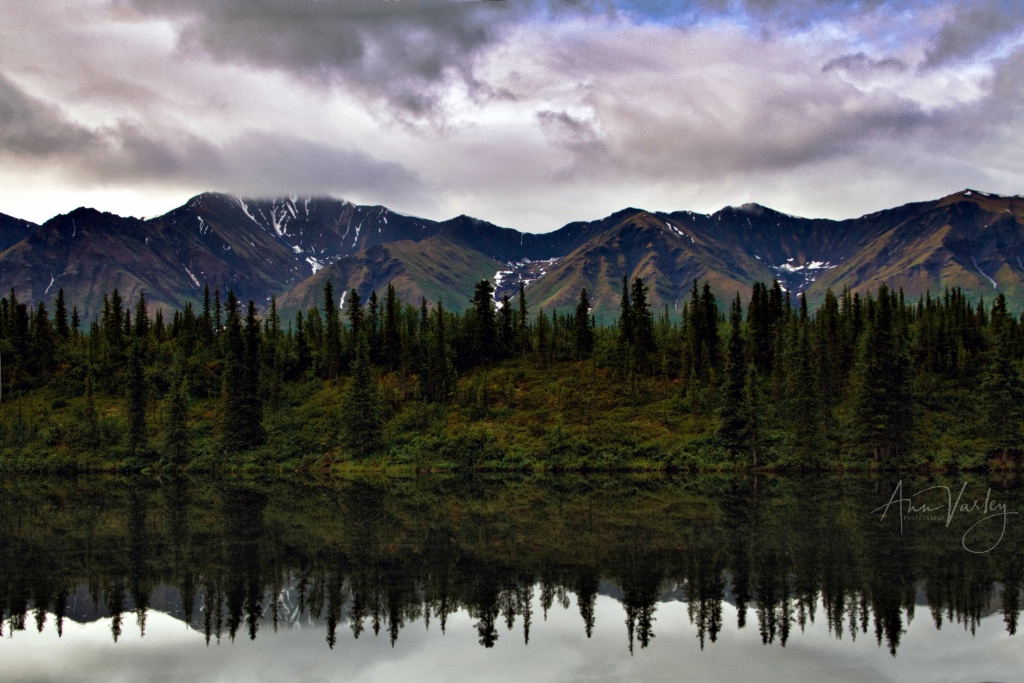 morning reflected