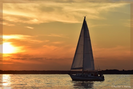 Sunset Sailing