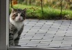 Open The Door