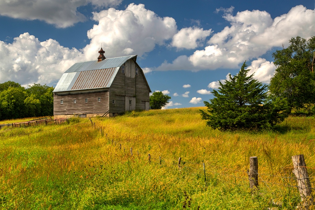 Countryside