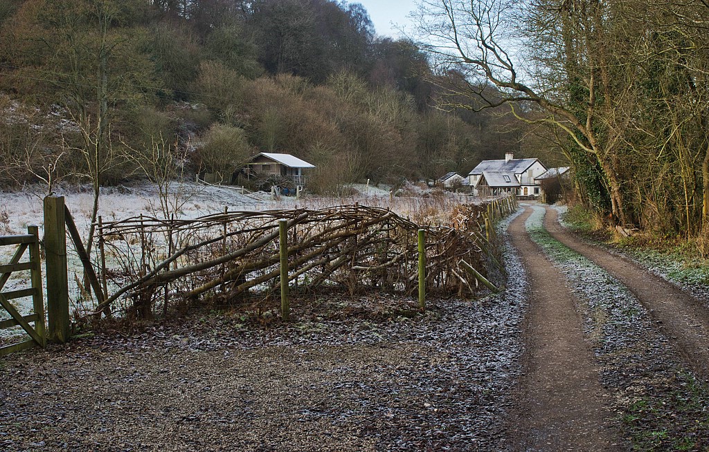 Frosty Morning