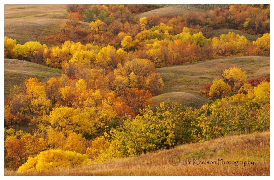 Qu'Appelle Valley 2018 Saskatchewan Autumn - ID: 15627921 © Jim D. Knelson