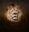 Thabo