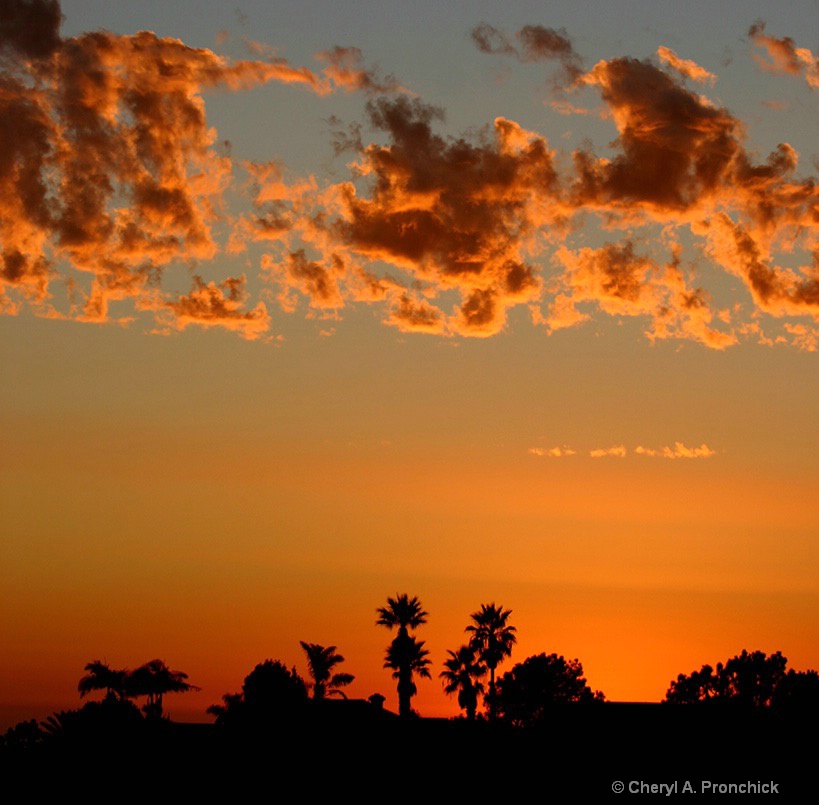 Sunset09.JPG - ID: 15628154 © Cheryl A. Pronchick