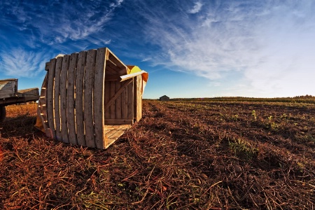 Wooden Crate On The Autumn Fields