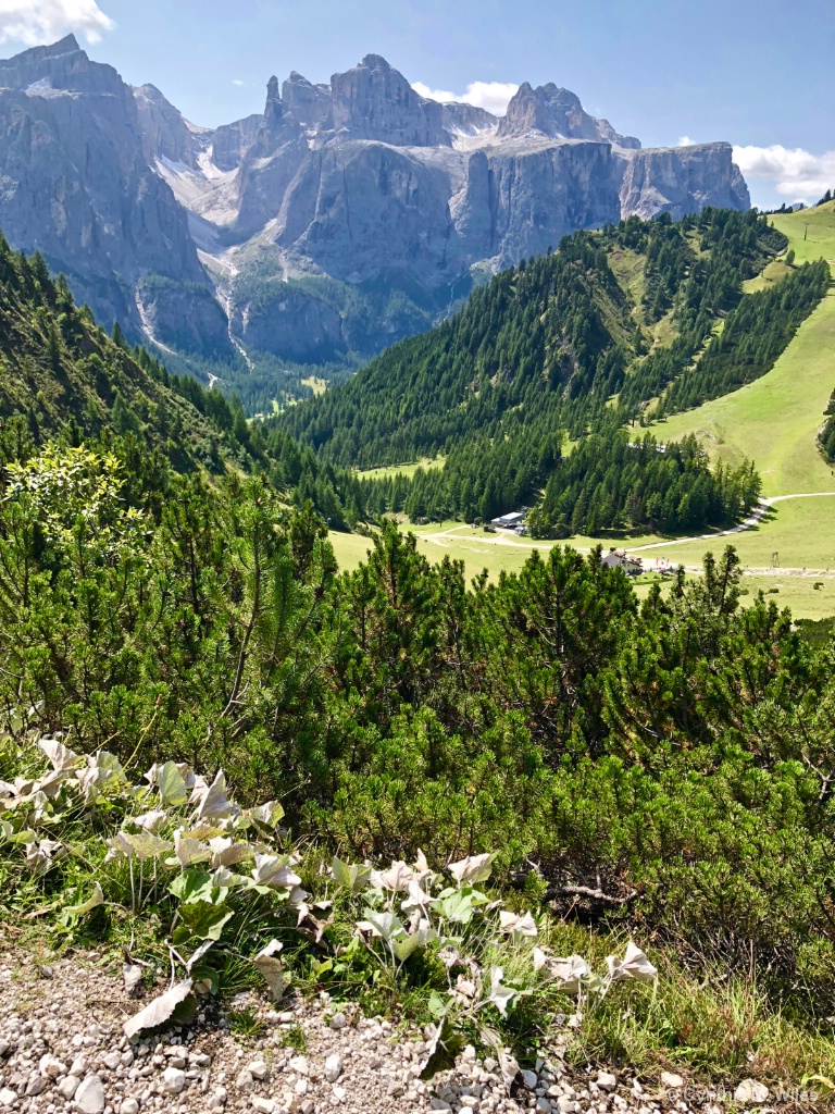 Trail's Edge & Beyond in the Dolomites  - ID: 15628883 © Cynthia M. Wiles