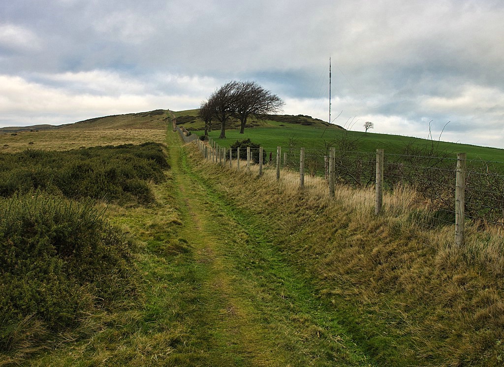 Path up Moel-Y-Parc