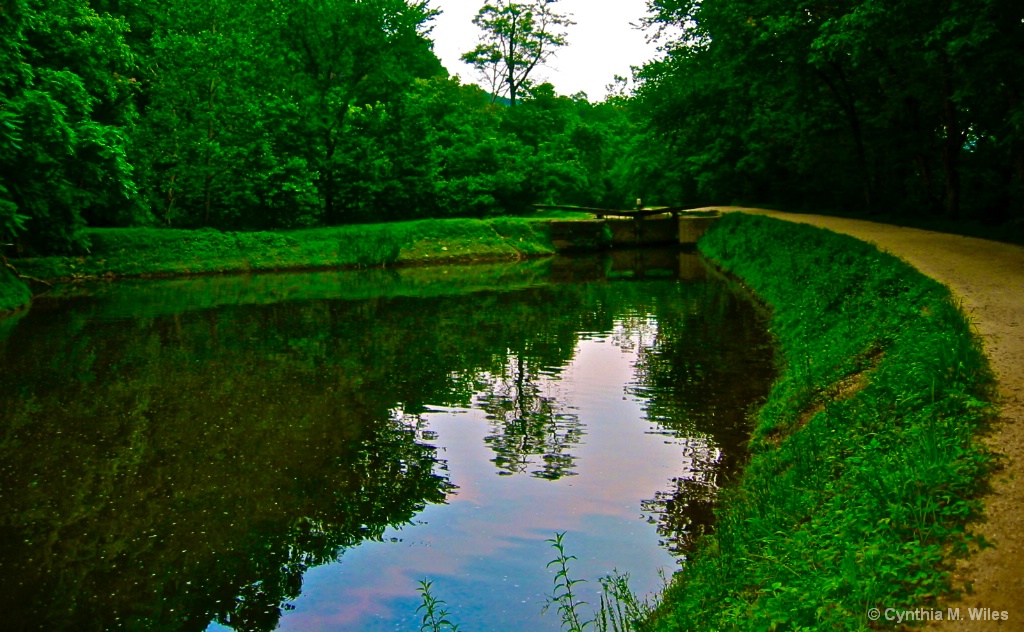 C & O Canal Path - ID: 15629491 © Cynthia M. Wiles