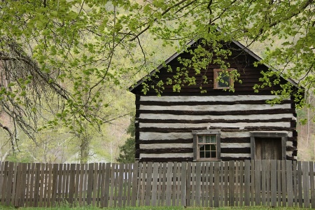 Cabin With a Picket Fence