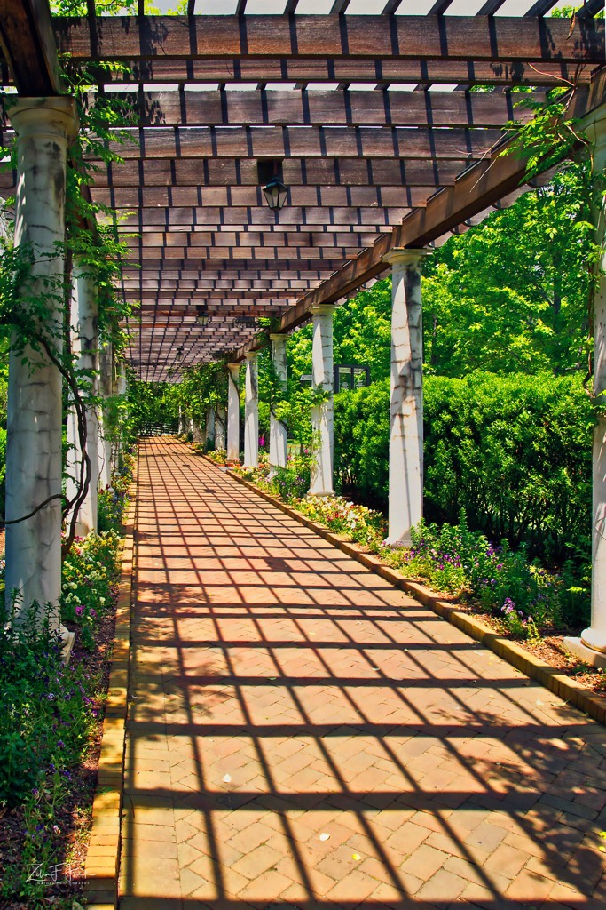 Walkway Daniel Stowe