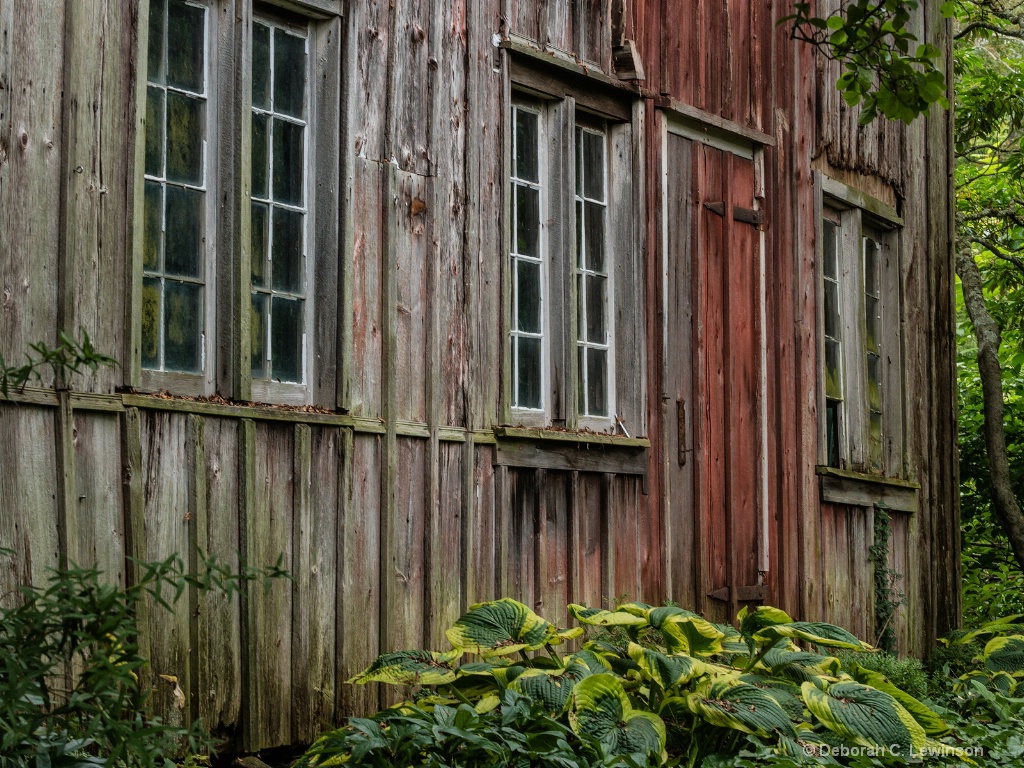 Willowwood Arboretum