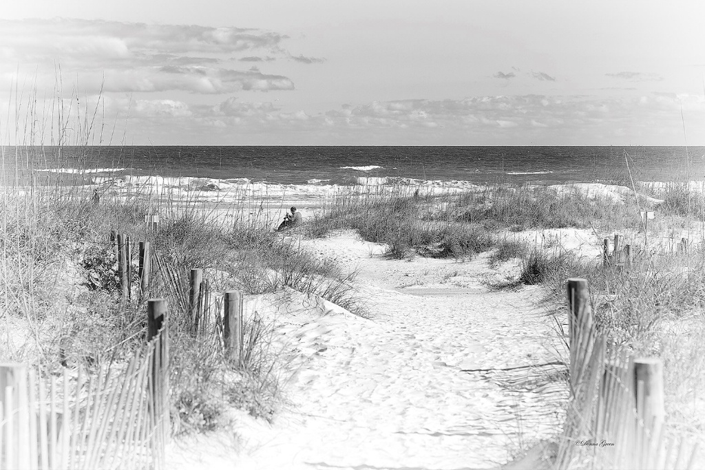 St Augustine Beach - ID: 15630372 © Robert/Donna Green