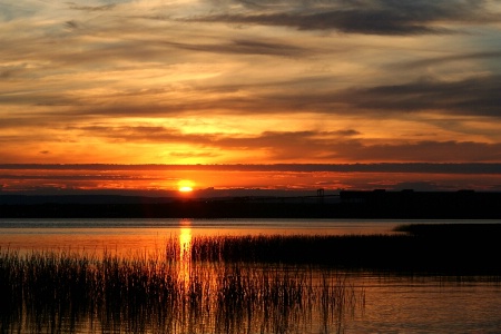 Marsh sunset