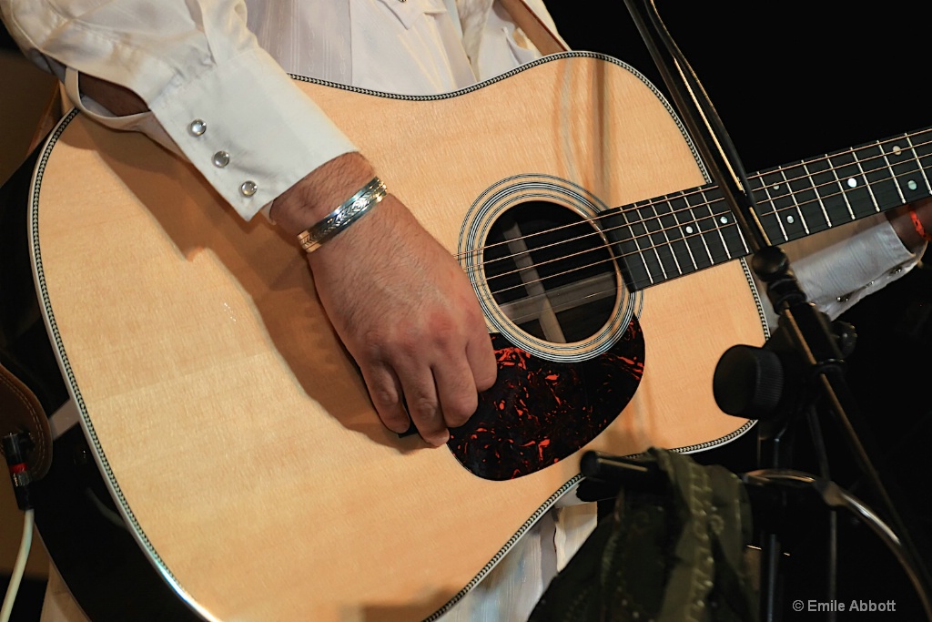 Guitar - ID: 15631404 © Emile Abbott